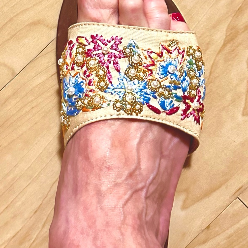 Haute Hippie Floral Embroidered Sandals - Blue and Pink on Beige - Picture 2 of 10